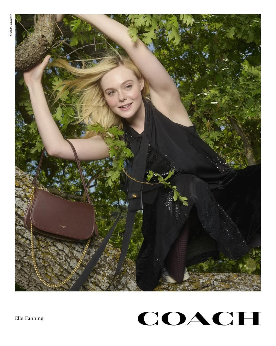 Coach Campaign 1