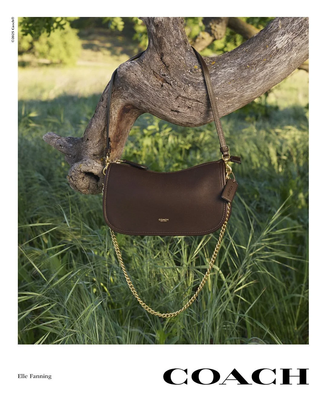 Coach Campaign 14